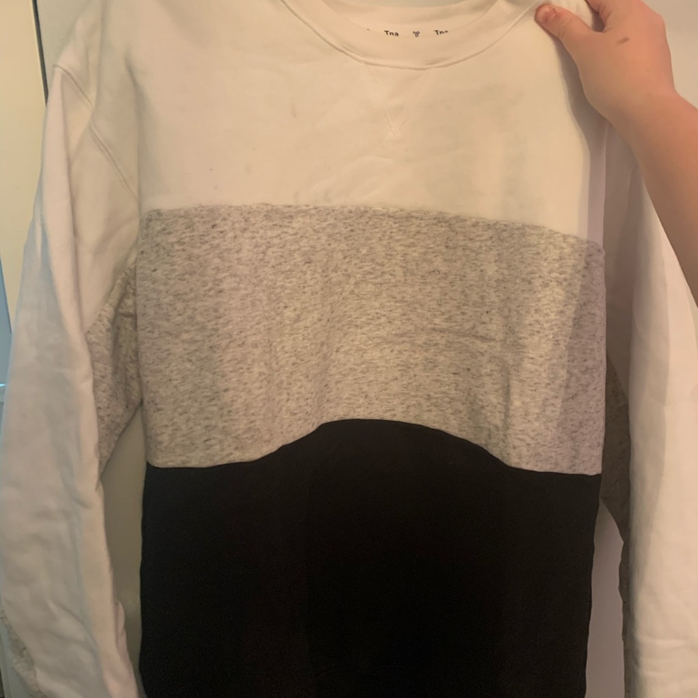 Aritzia crewneck